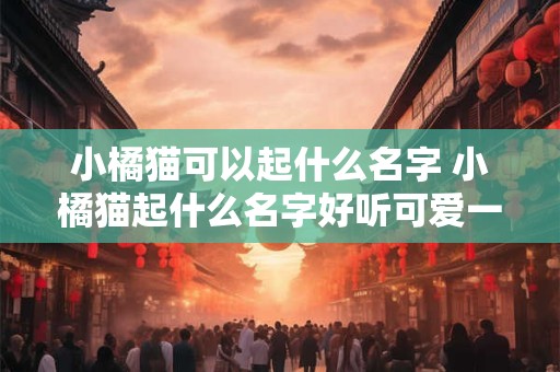 小橘猫可以起什么名字 小橘猫起什么名字好听可爱一点女生
