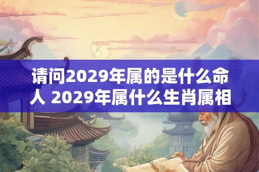 请问2029年属的是什么命人 2029年属什么生肖属相什么命