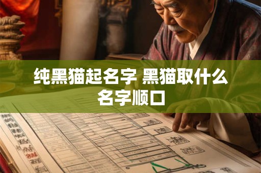 纯黑猫起名字 黑猫取什么名字顺口