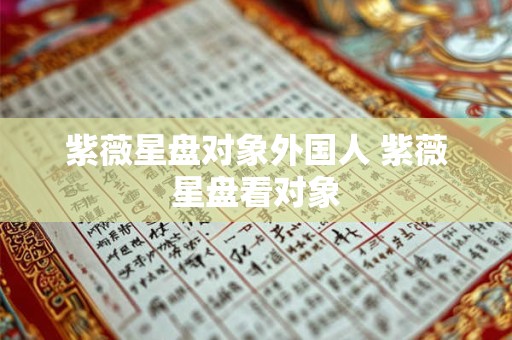 紫薇星盘对象外国人 紫薇星盘看对象