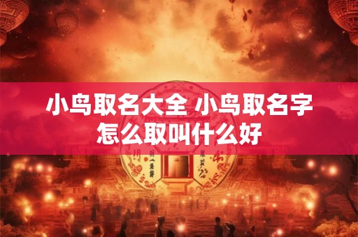 小鸟取名大全 小鸟取名字怎么取叫什么好
