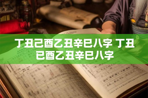 丁丑己酉乙丑辛巳八字 丁丑已酉乙丑辛巳八字