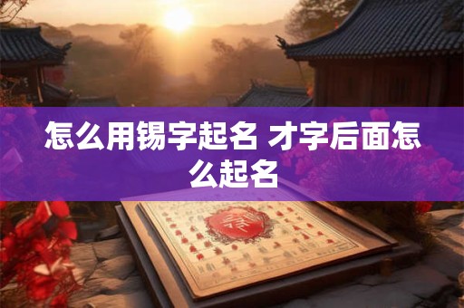 怎么用锡字起名 才字后面怎么起名