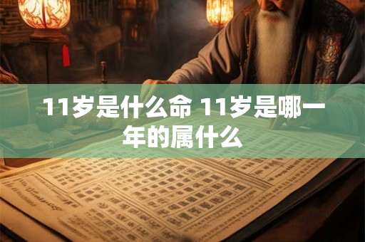 11岁是什么命 11岁是哪一年的属什么