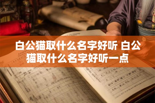 白公猫取什么名字好听 白公猫取什么名字好听一点