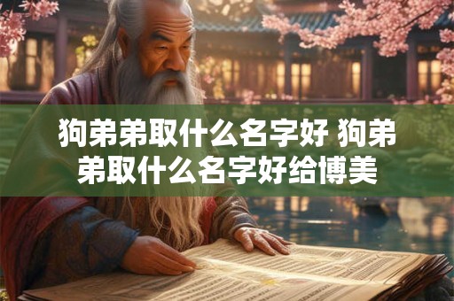 狗弟弟取什么名字好 狗弟弟取什么名字好给博美