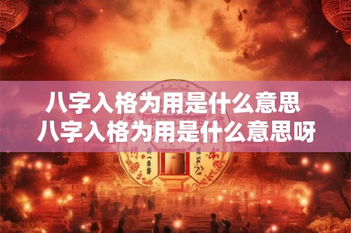 八字入格为用是什么意思 八字入格为用是什么意思呀