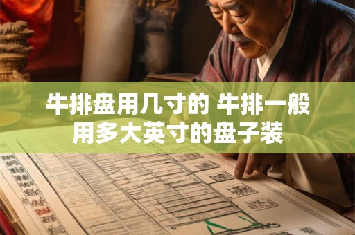 牛排盘用几寸的 牛排一般用多大英寸的盘子装
