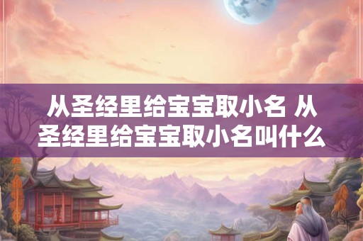 从圣经里给宝宝取小名 从圣经里给宝宝取小名叫什么