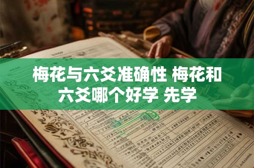 梅花与六爻准确性 梅花和六爻哪个好学 先学