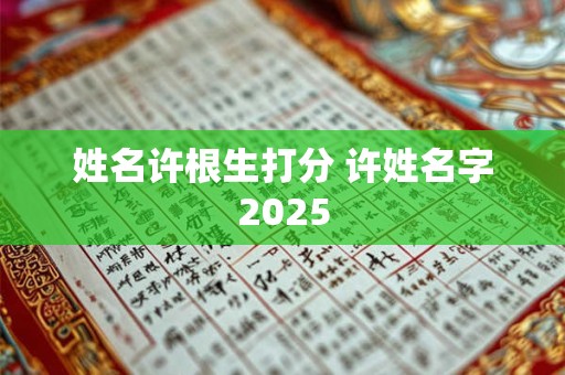 姓名许根生打分 许姓名字2025