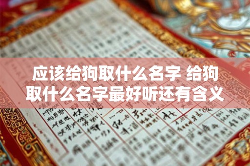 应该给狗取什么名字 给狗取什么名字最好听还有含义