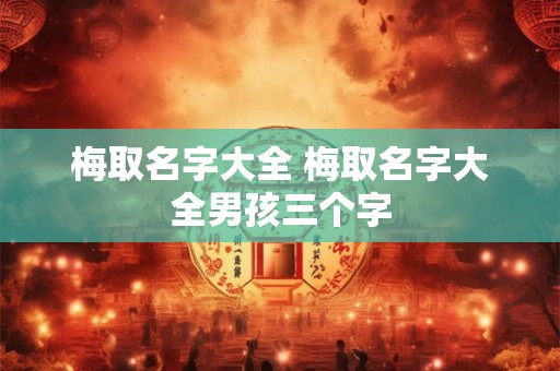 梅取名字大全 梅取名字大全男孩三个字