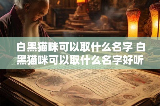 白黑猫咪可以取什么名字 白黑猫咪可以取什么名字好听