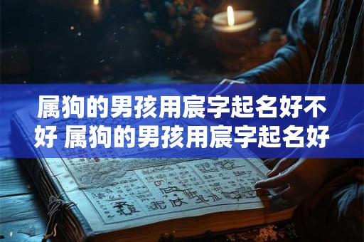 属狗的男孩用宸字起名好不好 属狗的男孩用宸字起名好不好呀