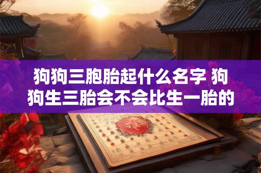 狗狗三胞胎起什么名字 狗狗生三胎会不会比生一胎的时候快