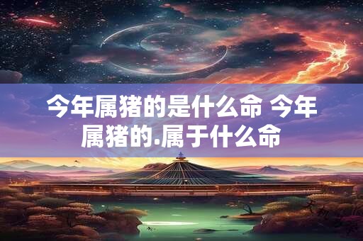 今年属猪的是什么命 今年属猪的.属于什么命