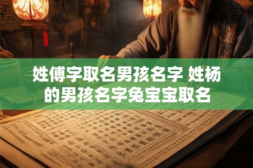姓傅字取名男孩名字 姓杨的男孩名字兔宝宝取名
