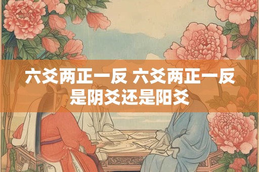 六爻两正一反 六爻两正一反是阴爻还是阳爻