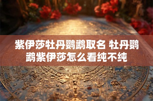 紫伊莎牡丹鹦鹉取名 牡丹鹦鹉紫伊莎怎么看纯不纯