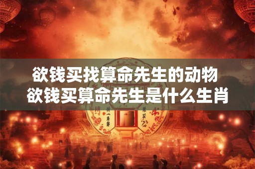 欲钱买找算命先生的动物 欲钱买算命先生是什么生肖