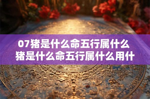 07猪是什么命五行属什么 猪是什么命五行属什么用什么图像