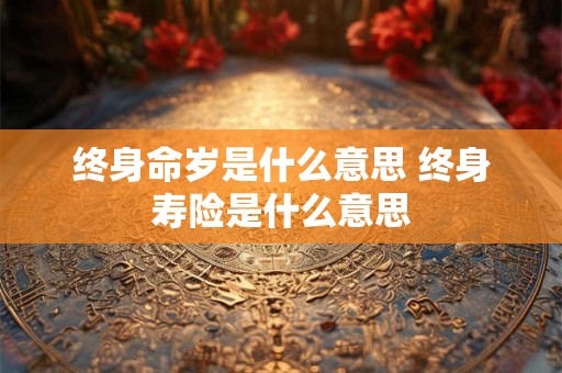 终身命岁是什么意思 终身寿险是什么意思