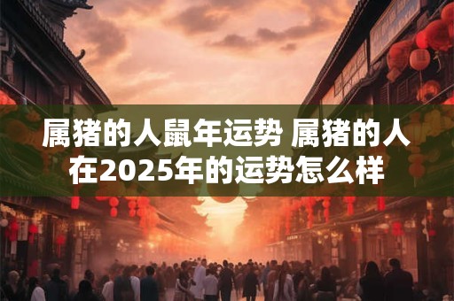 属猪的人鼠年运势 属猪的人在2025年的运势怎么样