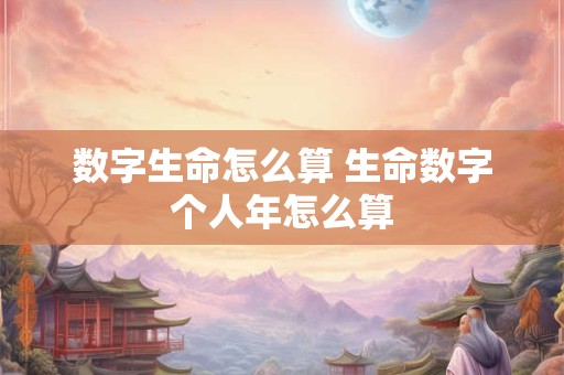 数字生命怎么算 生命数字个人年怎么算