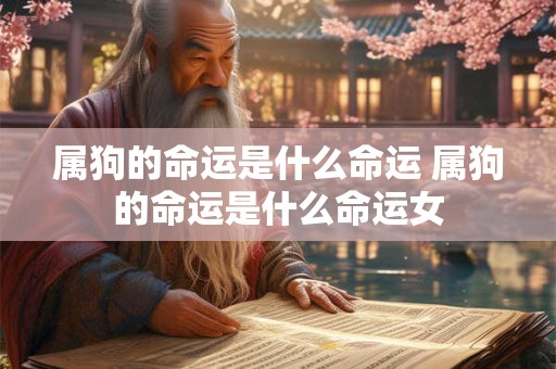 属狗的命运是什么命运 属狗的命运是什么命运女