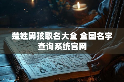 楚姓男孩取名大全 全国名字查询系统官网