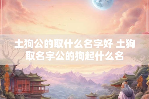 土狗公的取什么名字好 土狗取名字公的狗起什么名