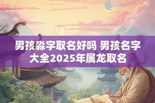 男孩淼字取名好吗 男孩名字大全2025年属龙取名