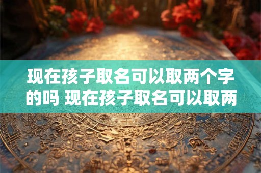 现在孩子取名可以取两个字的吗 现在孩子取名可以取两个字的吗男孩