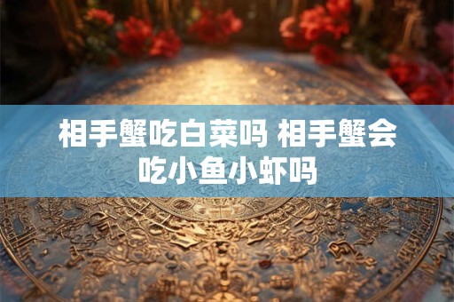 相手蟹吃白菜吗 相手蟹会吃小鱼小虾吗