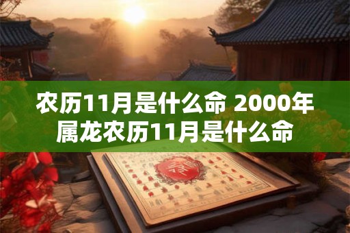 农历11月是什么命 2000年属龙农历11月是什么命