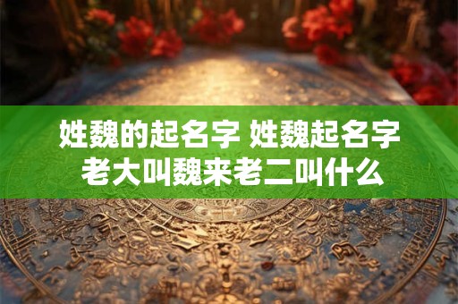 姓魏的起名字 姓魏起名字 老大叫魏来老二叫什么