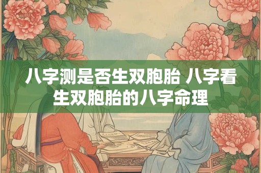 八字测是否生双胞胎 八字看生双胞胎的八字命理