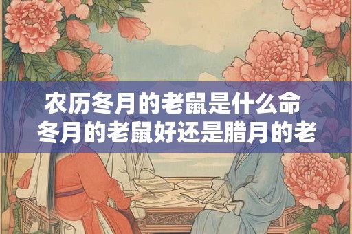 农历冬月的老鼠是什么命 冬月的老鼠好还是腊月的老鼠好