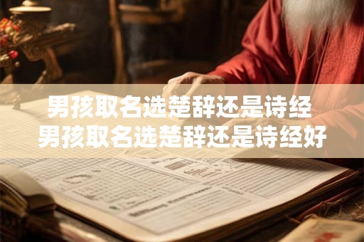 男孩取名选楚辞还是诗经 男孩取名选楚辞还是诗经好听