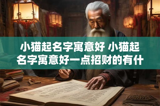 小猫起名字寓意好 小猫起名字寓意好一点招财的有什么样的吉利名字