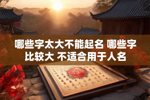哪些字太大不能起名 哪些字比较大 不适合用于人名