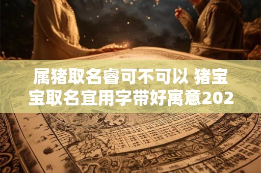 属猪取名睿可不可以 猪宝宝取名宜用字带好寓意2025