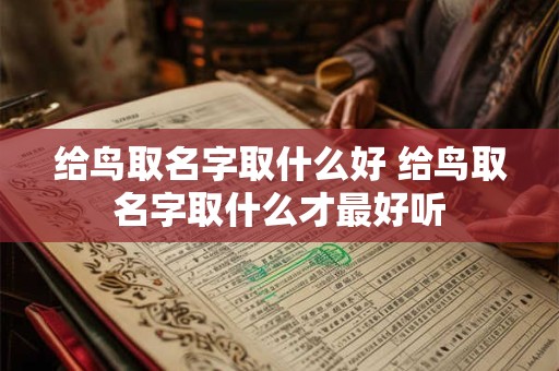 给鸟取名字取什么好 给鸟取名字取什么才最好听