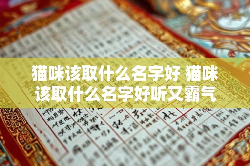 猫咪该取什么名字好 猫咪该取什么名字好听又霸气