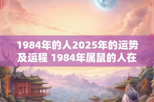 1984年的人2025年的运势及运程 1984年属鼠的人在2025年的运势