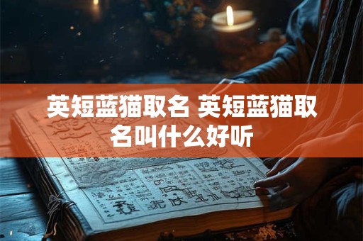 英短蓝猫取名 英短蓝猫取名叫什么好听