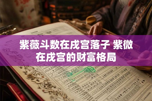 紫薇斗数在戌宫落子 紫微在戌宫的财富格局
