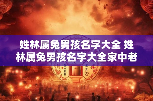 姓林属兔男孩名字大全 姓林属兔男孩名字大全家中老大怎么取
