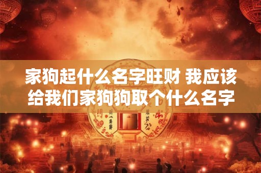 家狗起什么名字旺财 我应该给我们家狗狗取个什么名字好 家狗起什么名字旺财 我应该给我们家狗狗取个什么名字好